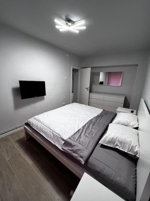 דירות Hugo House טימישוארה מראה חיצוני תמונה